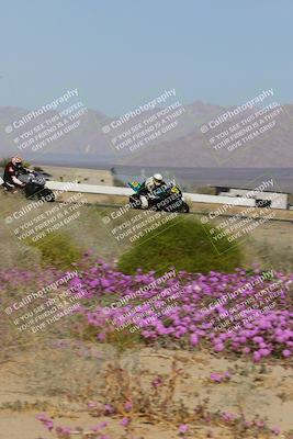 media/Feb-04-2023-SoCal Trackdays (Sat) [[8a776bf2c3]]/Turn 15 Inside Blooming (1050am)/